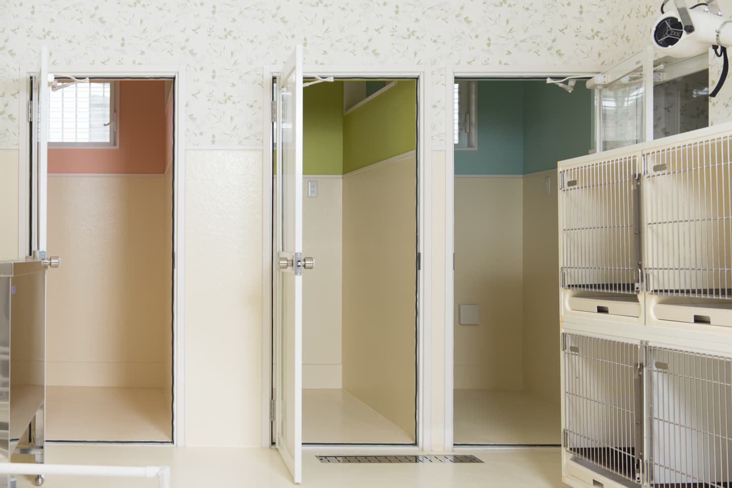 ペットホテルイメージ写真