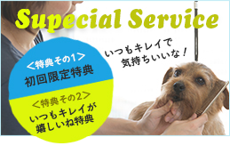 SpeciaLService