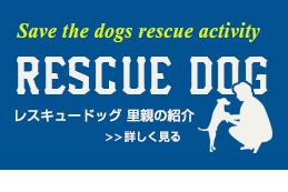 レスキュードッグ