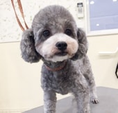 みどりちゃん （現：琉海ルイ）