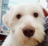 エドワードくん （現：SUNくん）