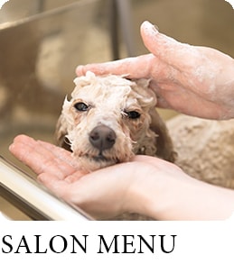 SALON MENU