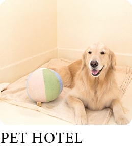 PET HOTEL