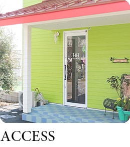 ACCESS