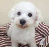 まさみちゃん